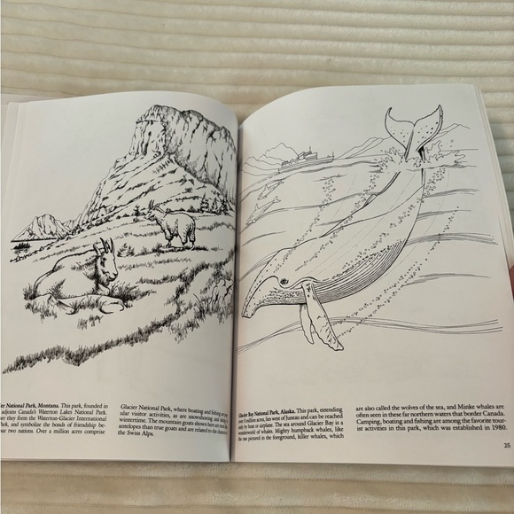 Set of 2 Vintage Coloring Books from Dover COLORING Book 1990 1993 Unused - Picture 6 of 14